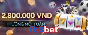 fb8bet